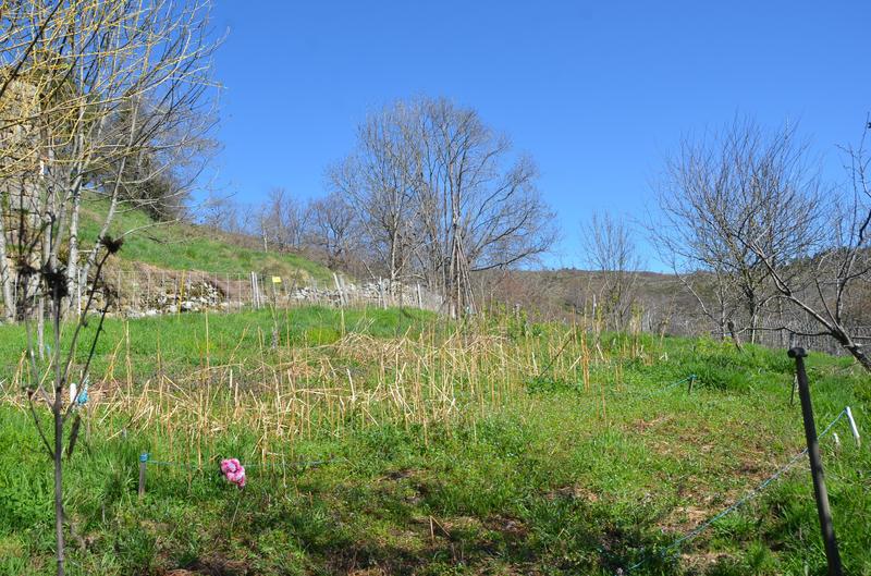 Ferme - 73 m² - 5 pièces