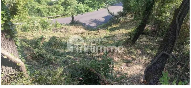 Terrain constructible - 1 003 m²