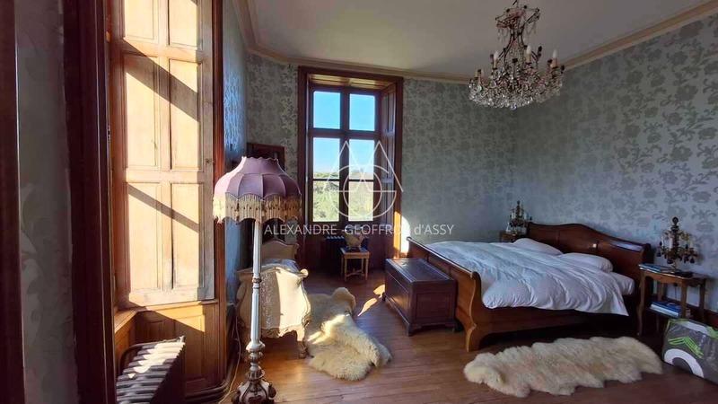 Château - 700 m² - 20 pièces