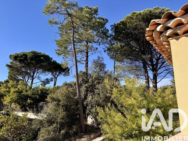 Maison de maîtres - 250 m² - 5 pièces