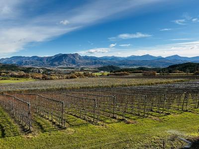 Villa - 124 m² - 5 pièces