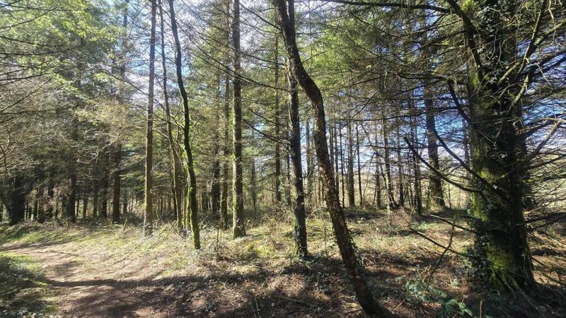 Terrain agricole - 5 600 m²