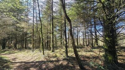 Terrain agricole - 5 600 m²