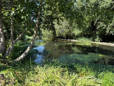 Maison en pierre - 99 m² - 5 pièces