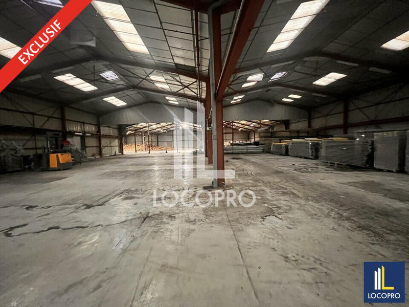 Local d'activité / Entrepôt - 3 700 m²