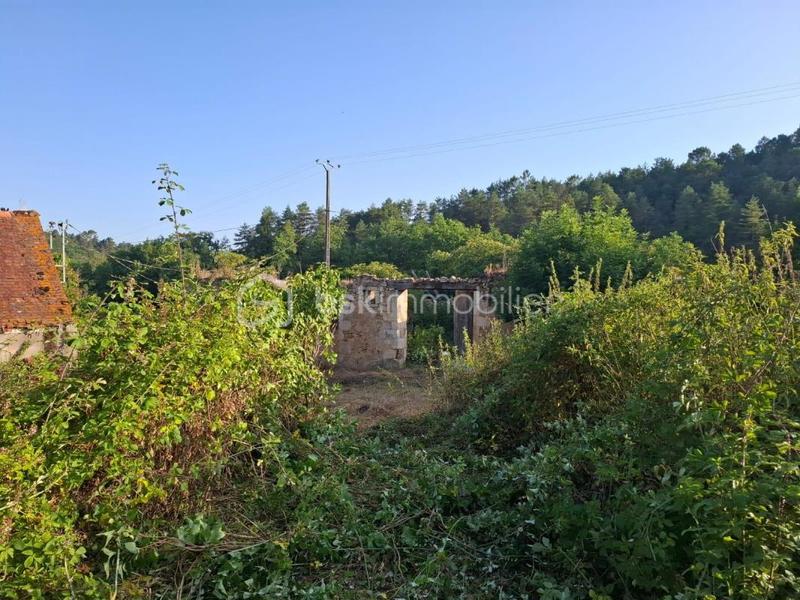 Terrain agricole - 2 908 m²