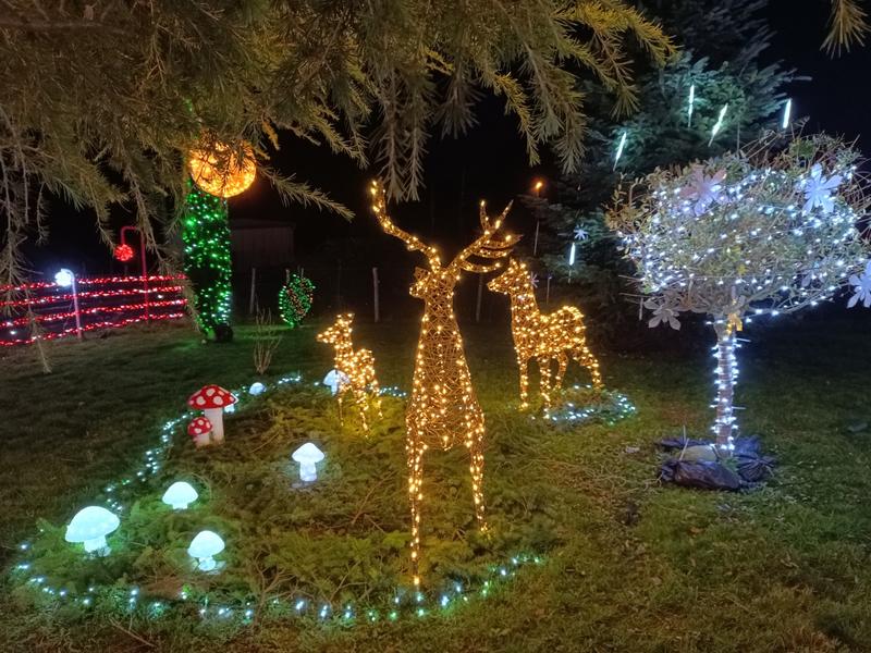 Féérie de Noël à la Meyze : maison illuminée