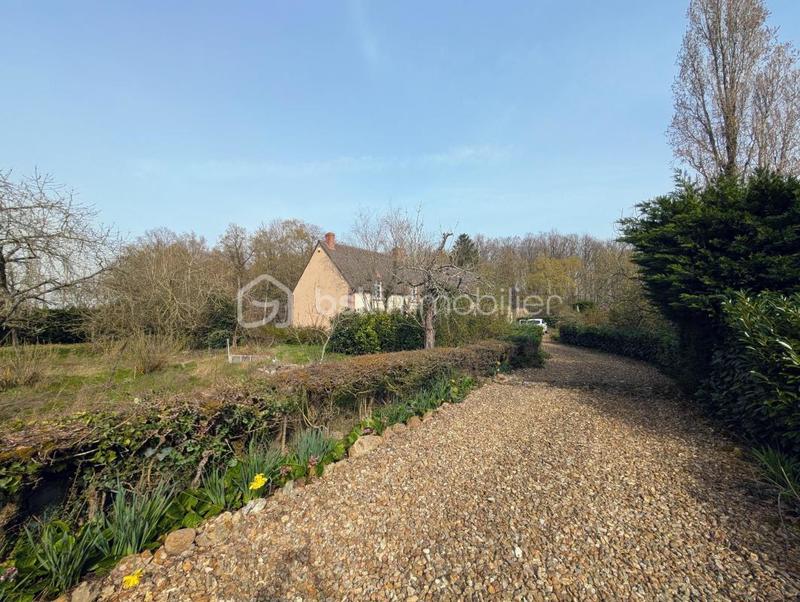 Longère - 240 m² - 5 pièces