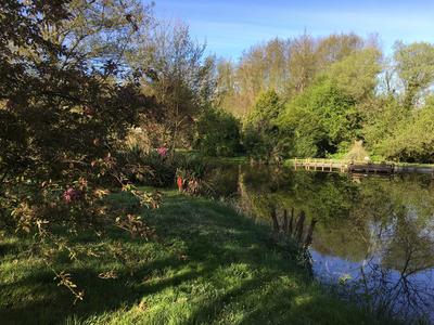 Terrain de loisirs - 3 977 m²