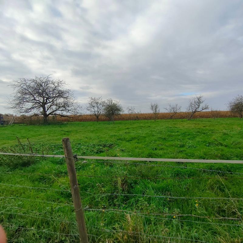 Terrain constructible - 3 000 m²