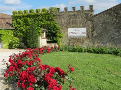 Journée vendanges au château Monconseil Gazin en Blaye Côtes de Bordeaux