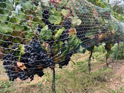 Maison - 150 m² - 3 pièces