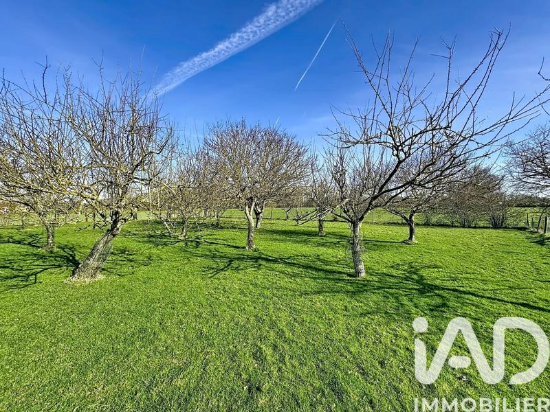 Terrain agricole - 5 000 m²