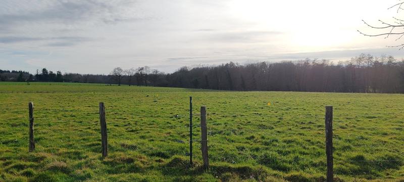 Terrain - 840 m²