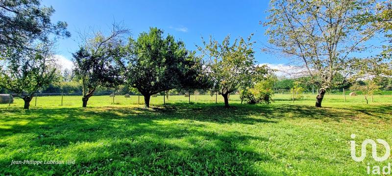 Maison - 295 m² - 7 pièces