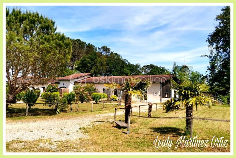 Immeuble - 440 m² - 21 pièces