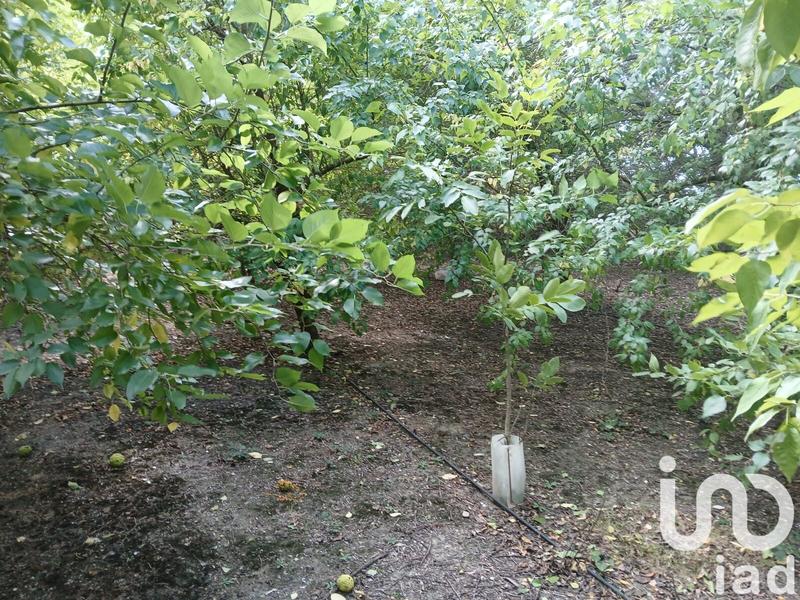 Terrain agricole - 16 110 m²