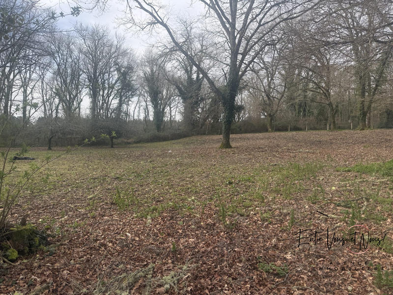 Maison ancienne - 243 m² - 10 pièces