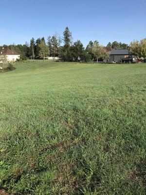 Terrain constructible - 1 500 m²