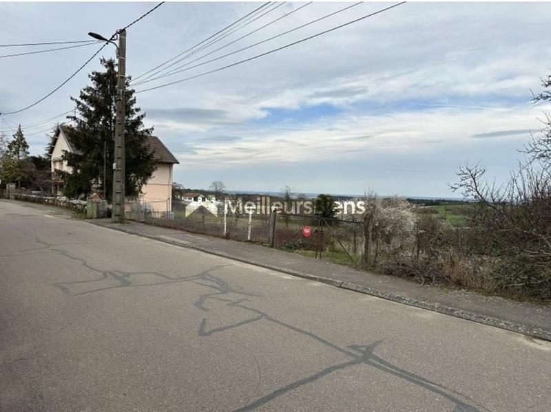 Terrain constructible - 3 590 m²