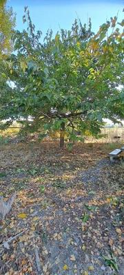 Mazet - 27 m² - 1 pièce