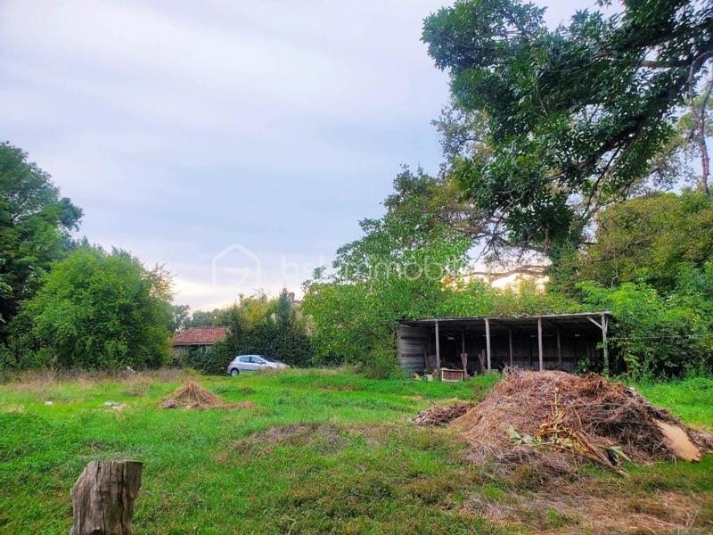 Maison en pierre - 132 m² - 5 pièces