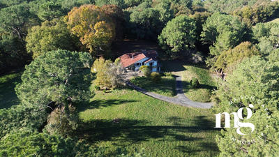 Maison ancienne - 250 m² - 9 pièces