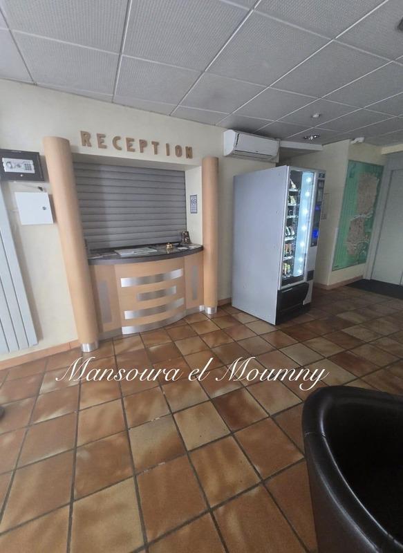 Hôtel particulier - 600 m² - 25 pièces