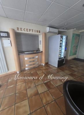 Hôtel particulier - 600 m² - 25 pièces