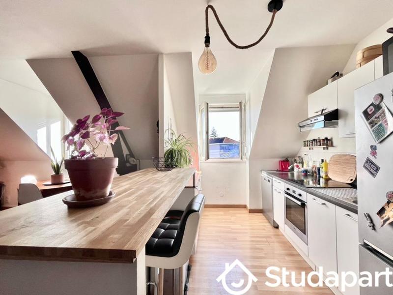 Appartement - 50 m² - 2 pièces