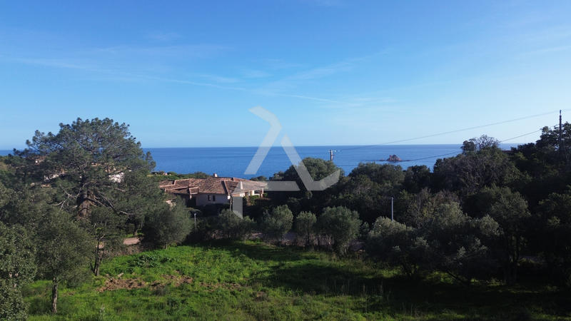 Maison - 41 m² - 1 pièce