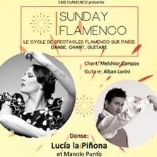 Sunday Flamenco - le Cycle de Flamenco sur Paris