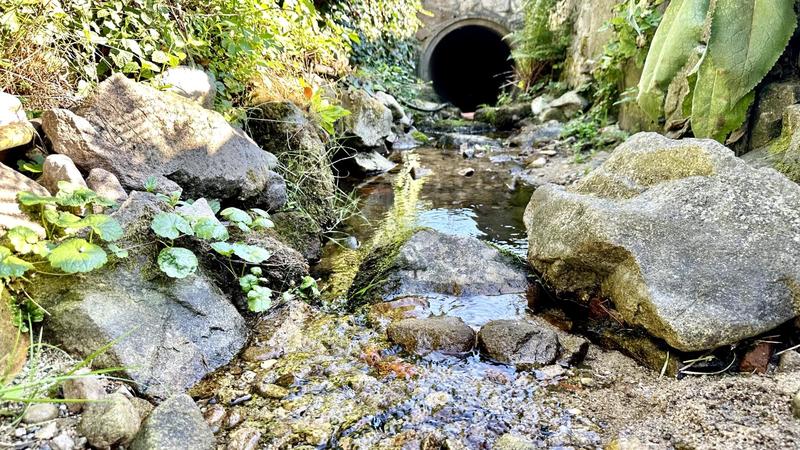 Maison - 147 m² - 6 pièces