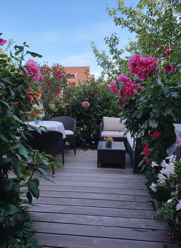 Maison bourgeoise - 200 m² - 8 pièces