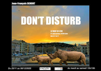 Exposition : Don'T Disturb