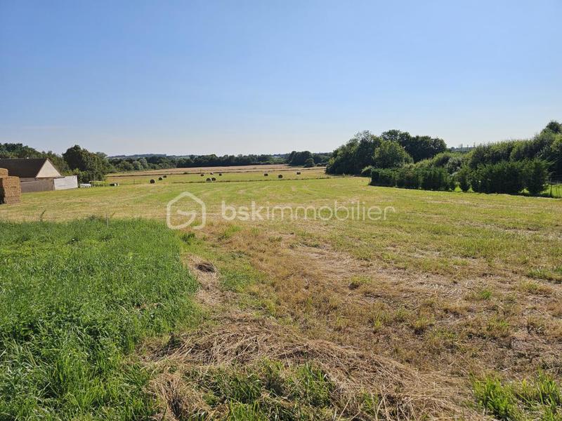 Terrain - 1 801 m²