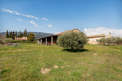 Maison - 517 m² - 15 pièces