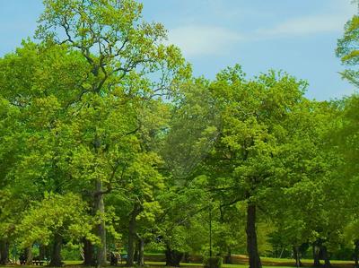 Appartement - 87 m² - 5 pièces