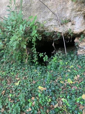 Terrain constructible - 401 m²