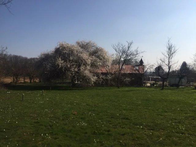 Maison de domaine équestre - 231 m² - 7 pièces