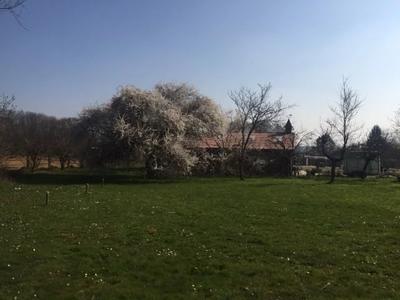 Maison de domaine équestre - 231 m² - 7 pièces