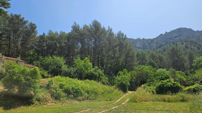 Maison - 312 m² - 7 pièces