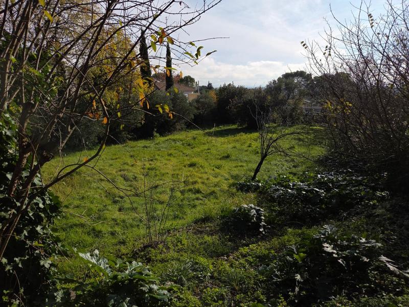 Maison - 217 m² - 6 pièces