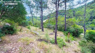 Terrain - 2 551 m²