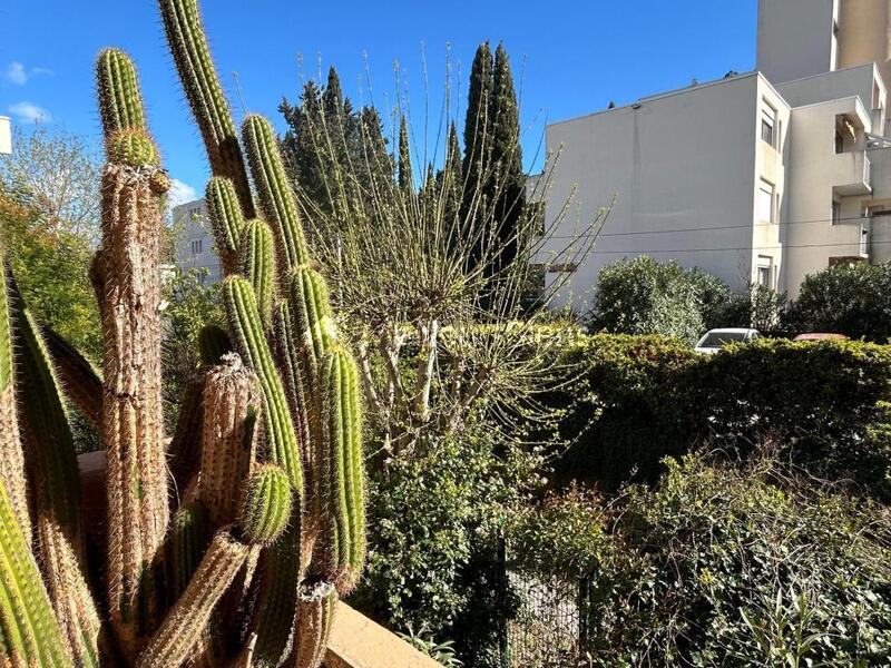 Appartement ancien - 95 m² - 4 pièces