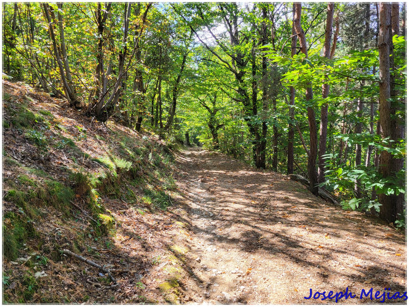 Propriété - 240 m² - 9 pièces