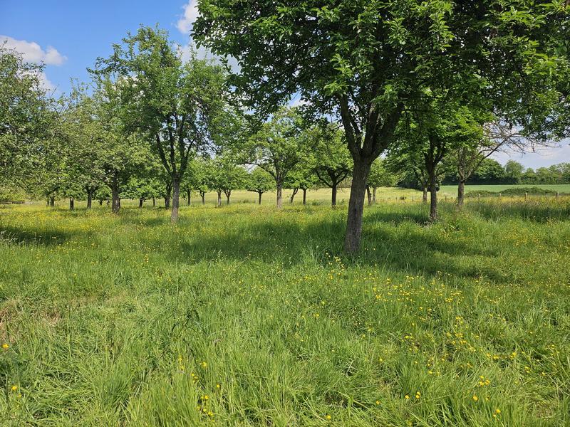 Maison traditionnelle - 176 m² - 7 pièces