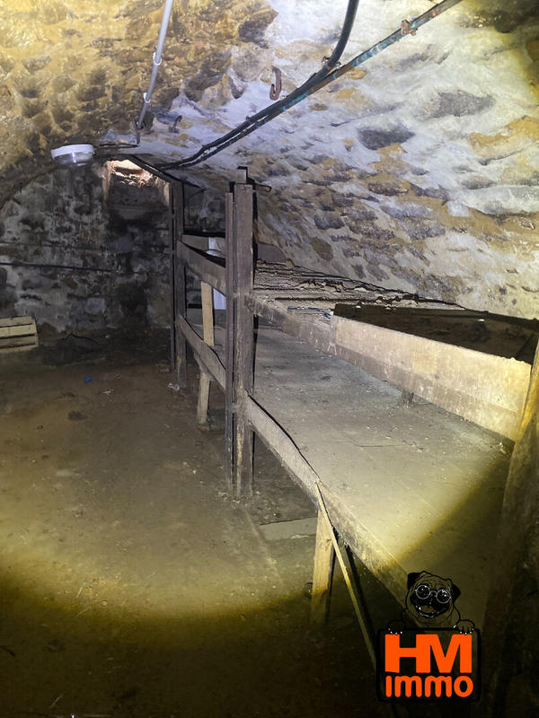 Maison - 300 m² - 15 pièces