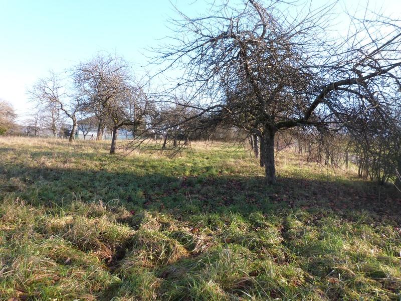 Terrain constructible - 855 m²