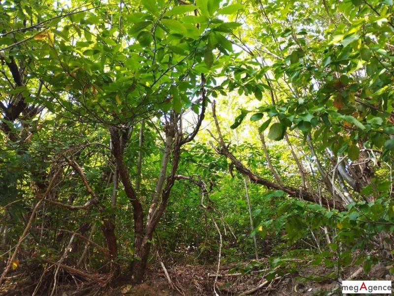 Terrain de loisirs - 4 671 m²